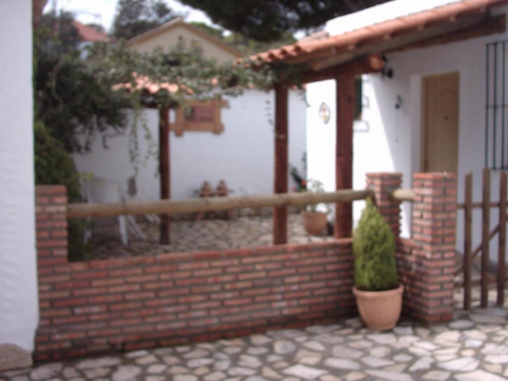 Finca El Abuelo Барбате Стая снимка